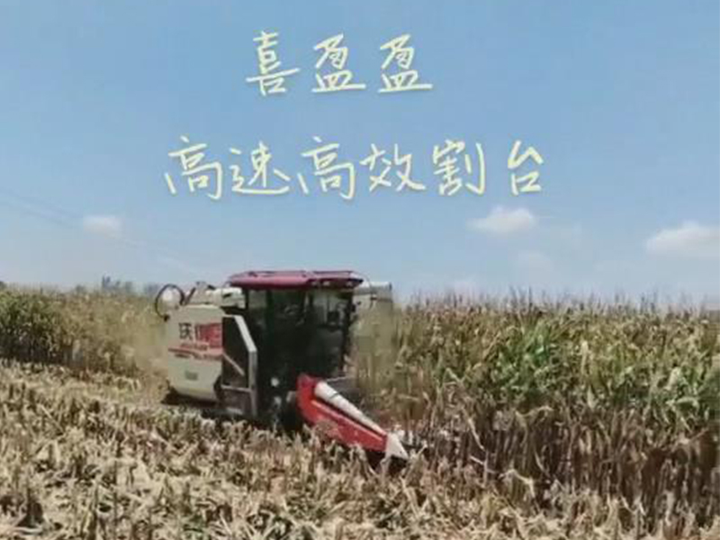 喜盈盈玉米專用割臺收割效果視頻