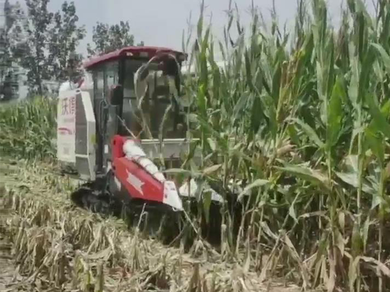 喜盈盈玉米專用割臺收割效果視頻