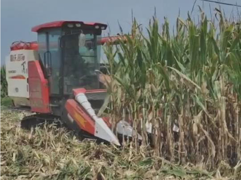 喜盈盈多功能雜糧割臺收割效果視頻