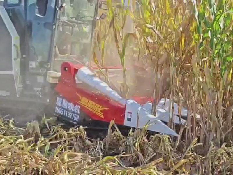 喜盈盈多功能雜糧割臺收割效果視頻