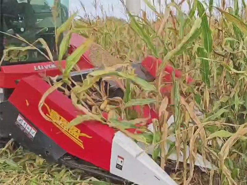 喜盈盈多功能雜糧割臺收割效果視頻