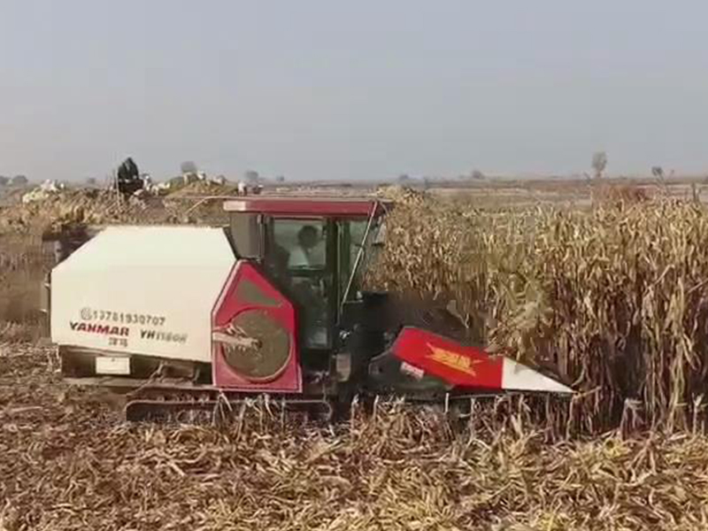 喜盈盈多功能雜糧割臺收割效果視頻