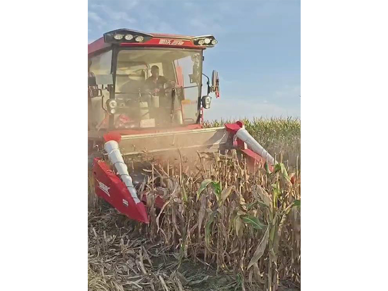 喜盈盈多功能雜糧割臺收割效果視頻
